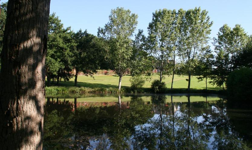 Bed and Breakfast Domaine De Vilotte Ardenais Exterior foto