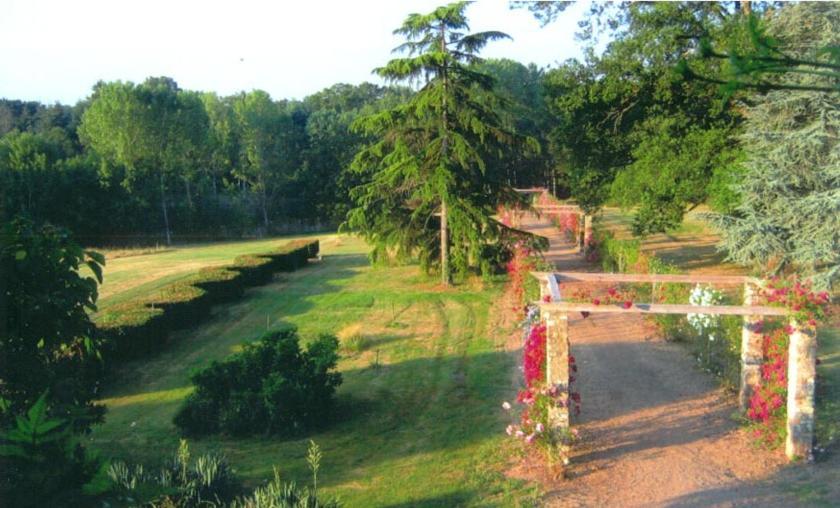 Bed and Breakfast Domaine De Vilotte Ardenais Exterior foto